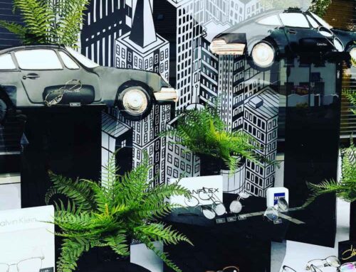 Schaufenster und Verkaufsraum Optiker